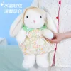 A genuine forest-themed floral dress with droopy ears, a plush rabbit doll, a floral dress, and a cute little rabbit figurine for home decoration Specification image